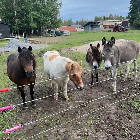 Campo de lujo Elaemyksellinen Majoitus Tentsilessae